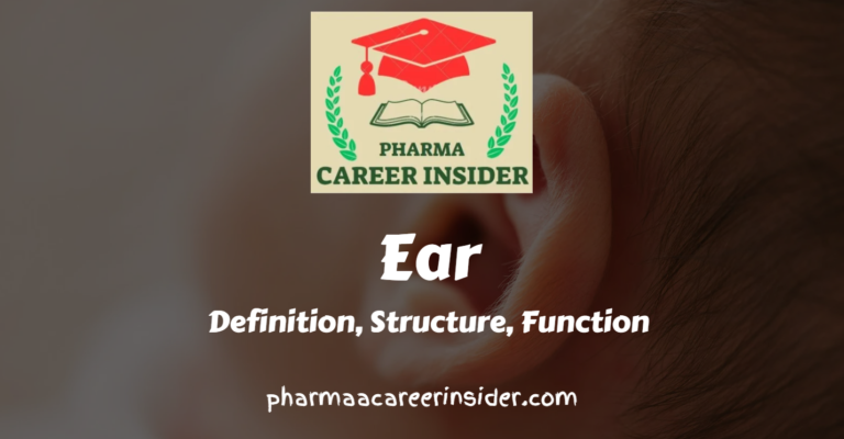 Ear: Structure and Functions