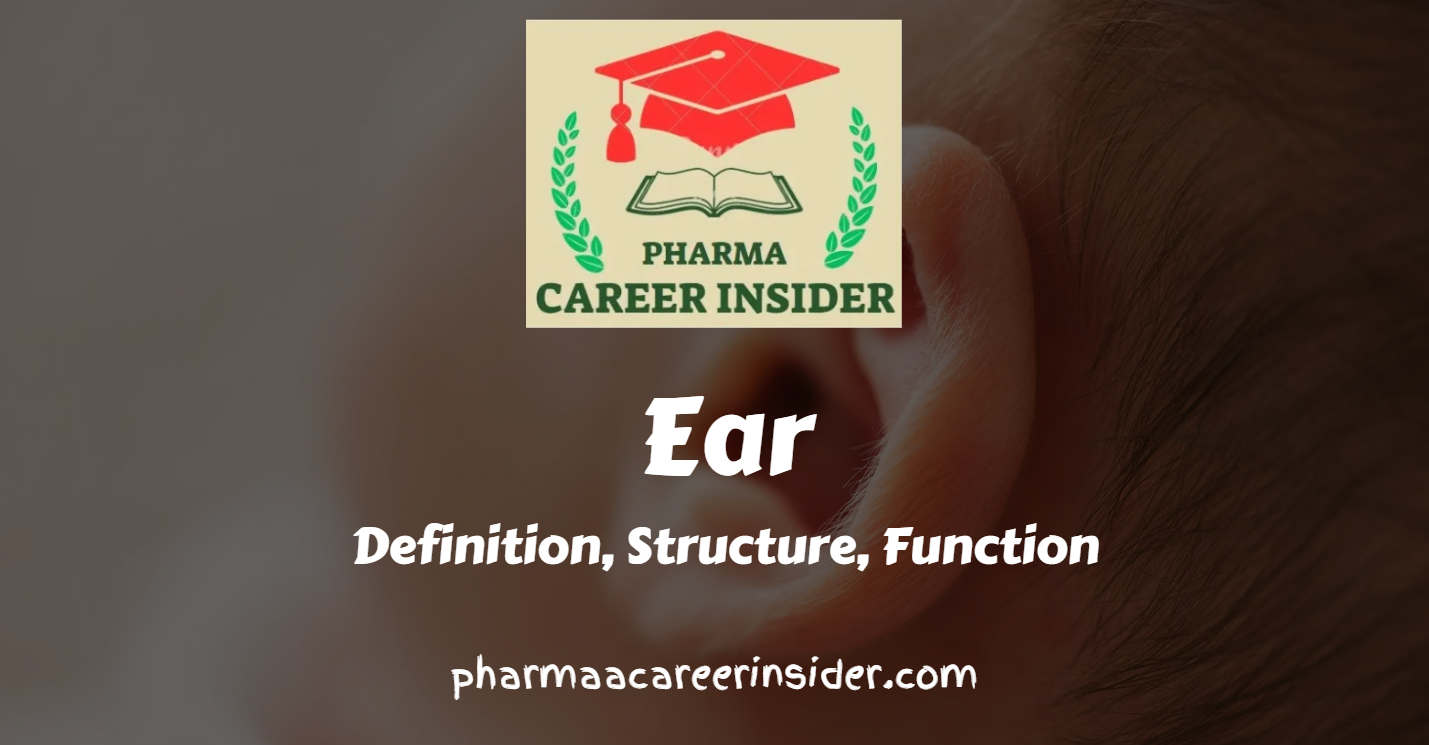 Ear: Structure and Functions