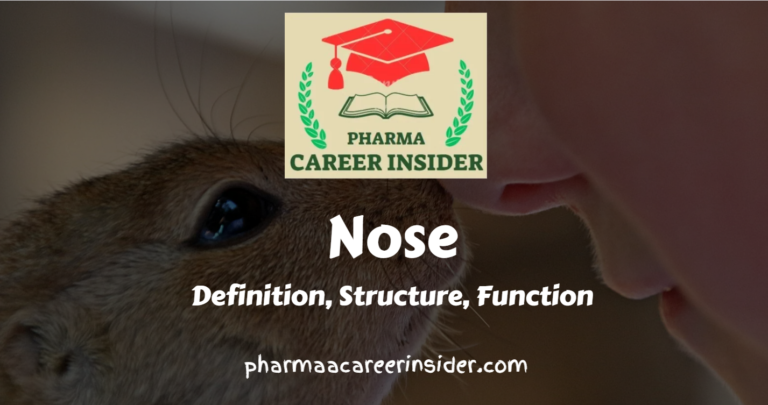 Nose: Structure and Functions