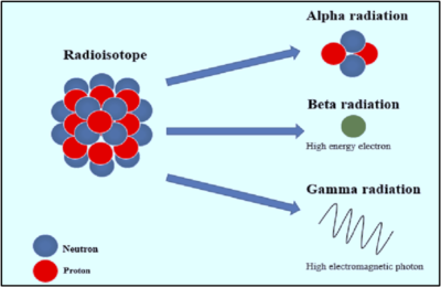 Beta Raspad Radioisotopes: Types, Uses & Real-World Applications in Medicine & Industry