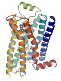 Drug Design: Key Concepts and Modern Approaches Explained 2 Drug target of G-protein-coupled receptors (GPCRs)