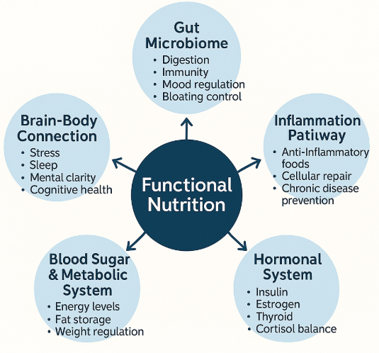 Functional Nutrition – Core Biological Systems Diagram.