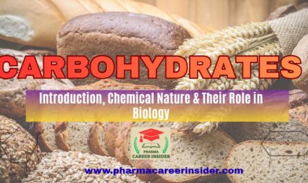 Illustration of carbohydrates showing glucose ring structure, cellulose chain, starch structure, and carbohydrate-rich food sources like bread, potatoes, fruits, and grains.